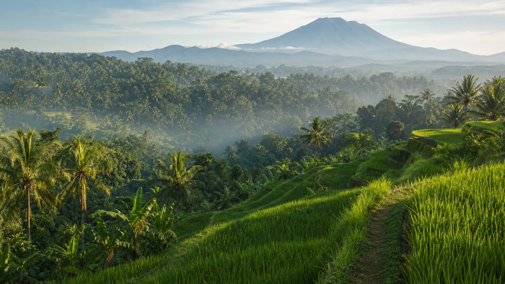 Bali Natuur: Jungle, Rijstvelden, Vulkaan & Nationale Parken